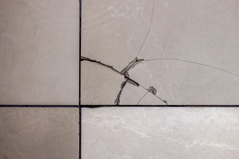 Local Damaged Tile Replacement in Burlington, WI