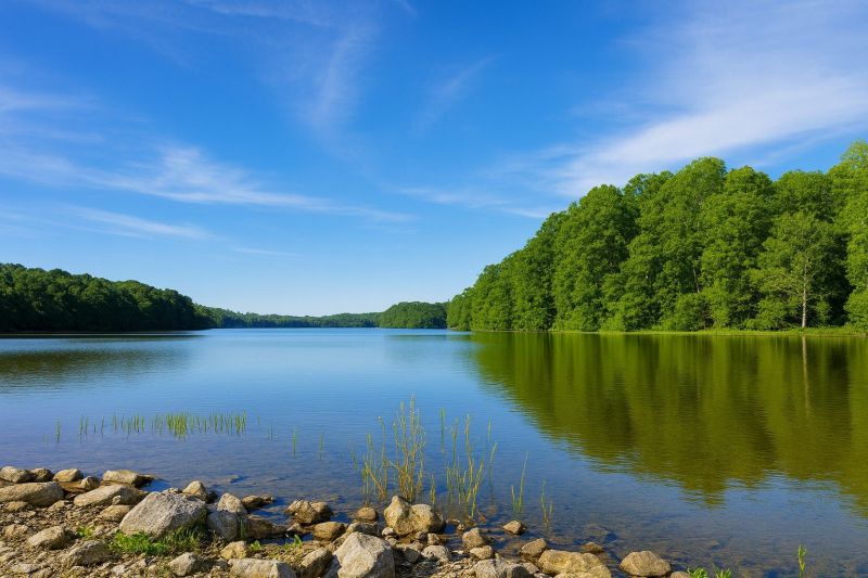 Local Slate Tile Floor Installation in Burke, VA