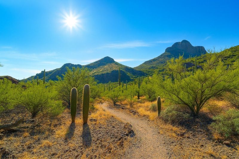 Local Tile Floor Installation in Marana, AZ