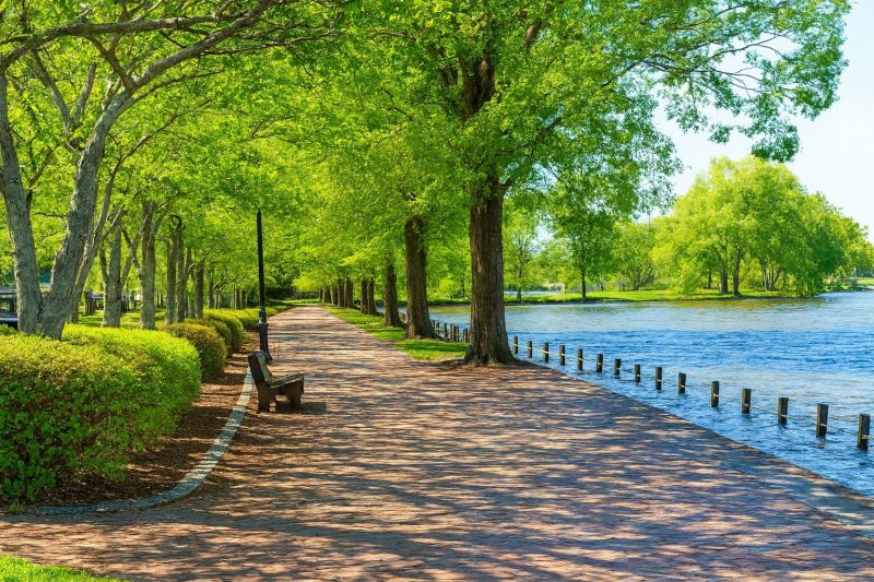Local Travertine Floor Installation in Locust Grove, VA