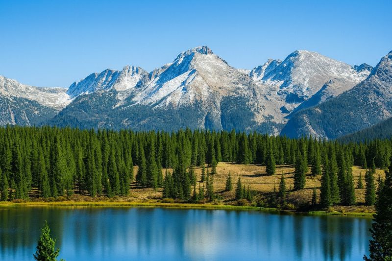 Local Wall Tiling Service in Lafayette, CO